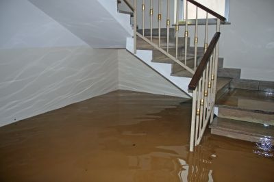 Basement Drying in Mesa, AZ