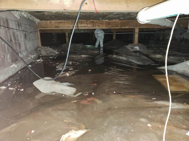 Basement Water Removal in Phoenix, AZ