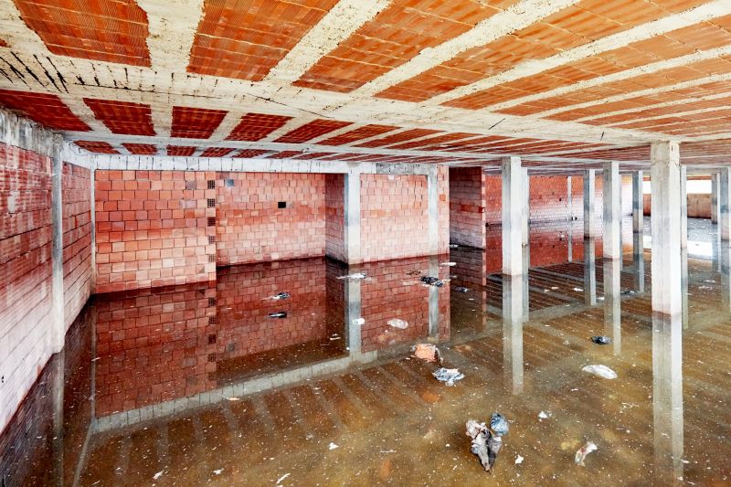 Basement Water Removal in Chandler, AZ