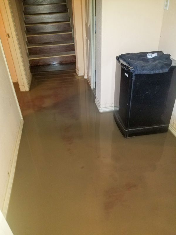 Emergency Water Removal in Chandler, AZ